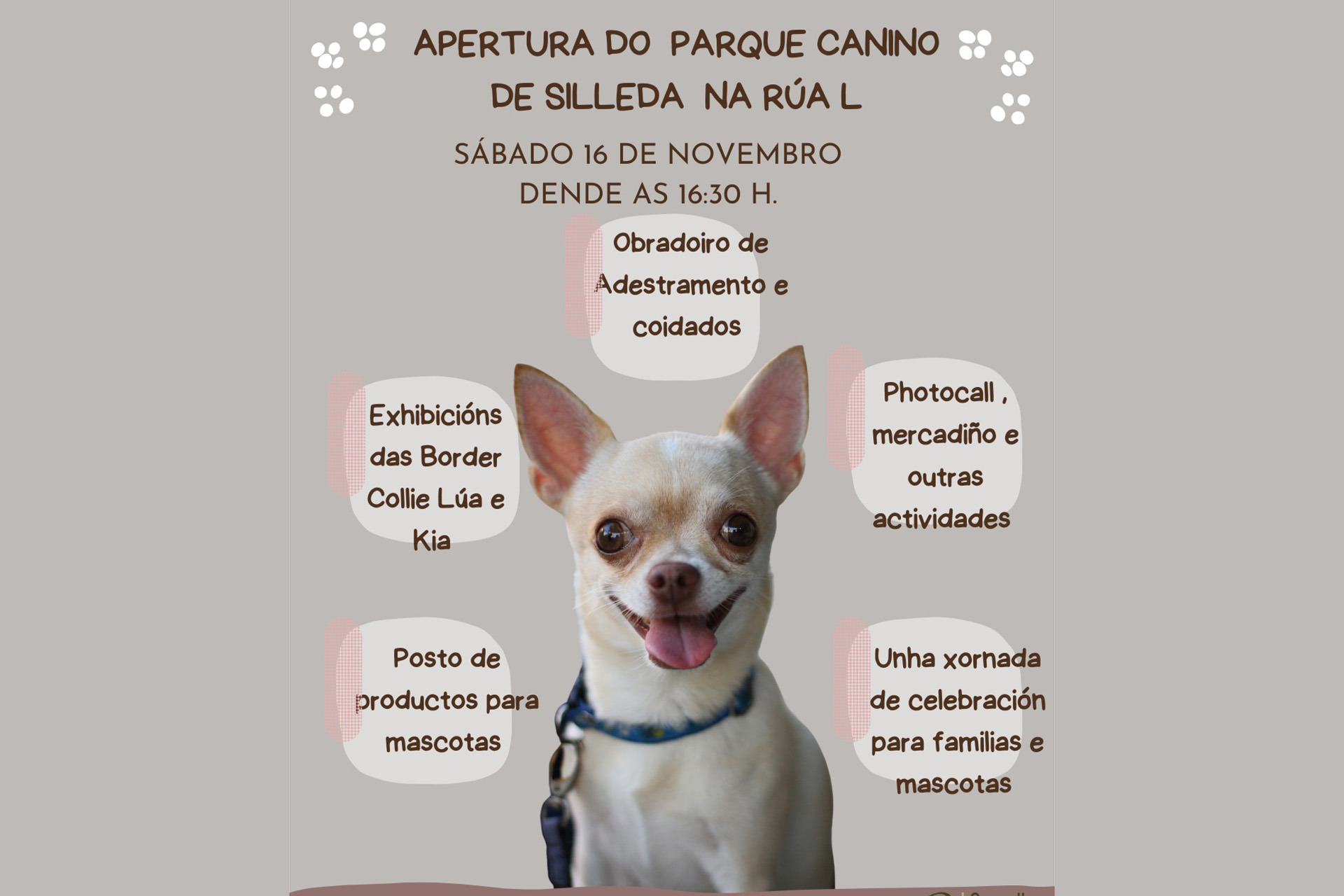 O parque canino de Silleda reabre as súas portas cunha festa para mascotas e familias o sábado 16  de novembro