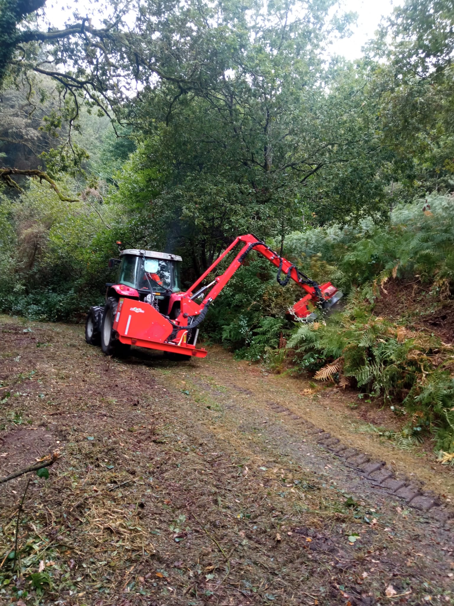 Silleda reforza a prevención ca limpeza de 22 kilómetros de pistas forestais no marco do convenio ca Xunta e a Fegamp