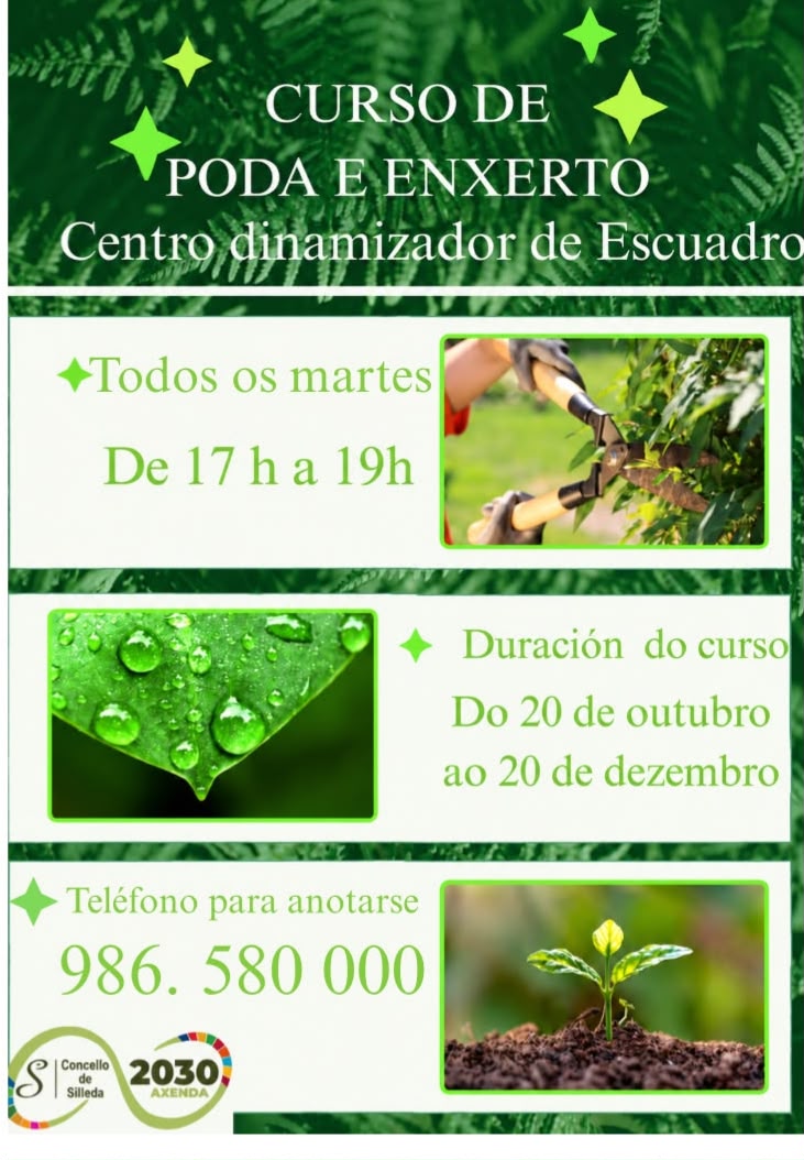O Concello de Silleda organiza un Curso de Poda e Enxerto no Centro Dinamizador de Escuadro